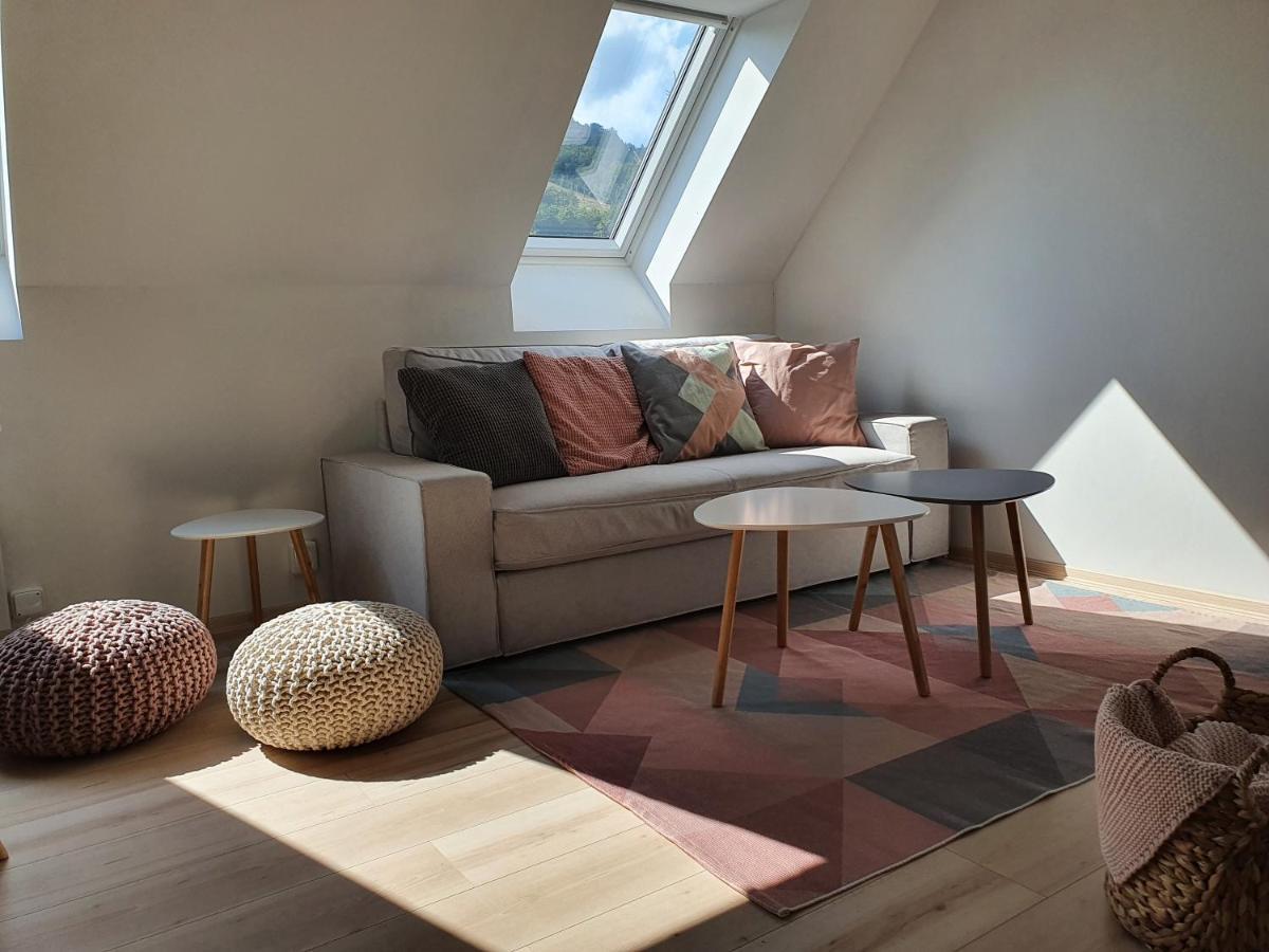 Apartmany Brachovna Mikulov v Krusnych Horach Ngoại thất bức ảnh