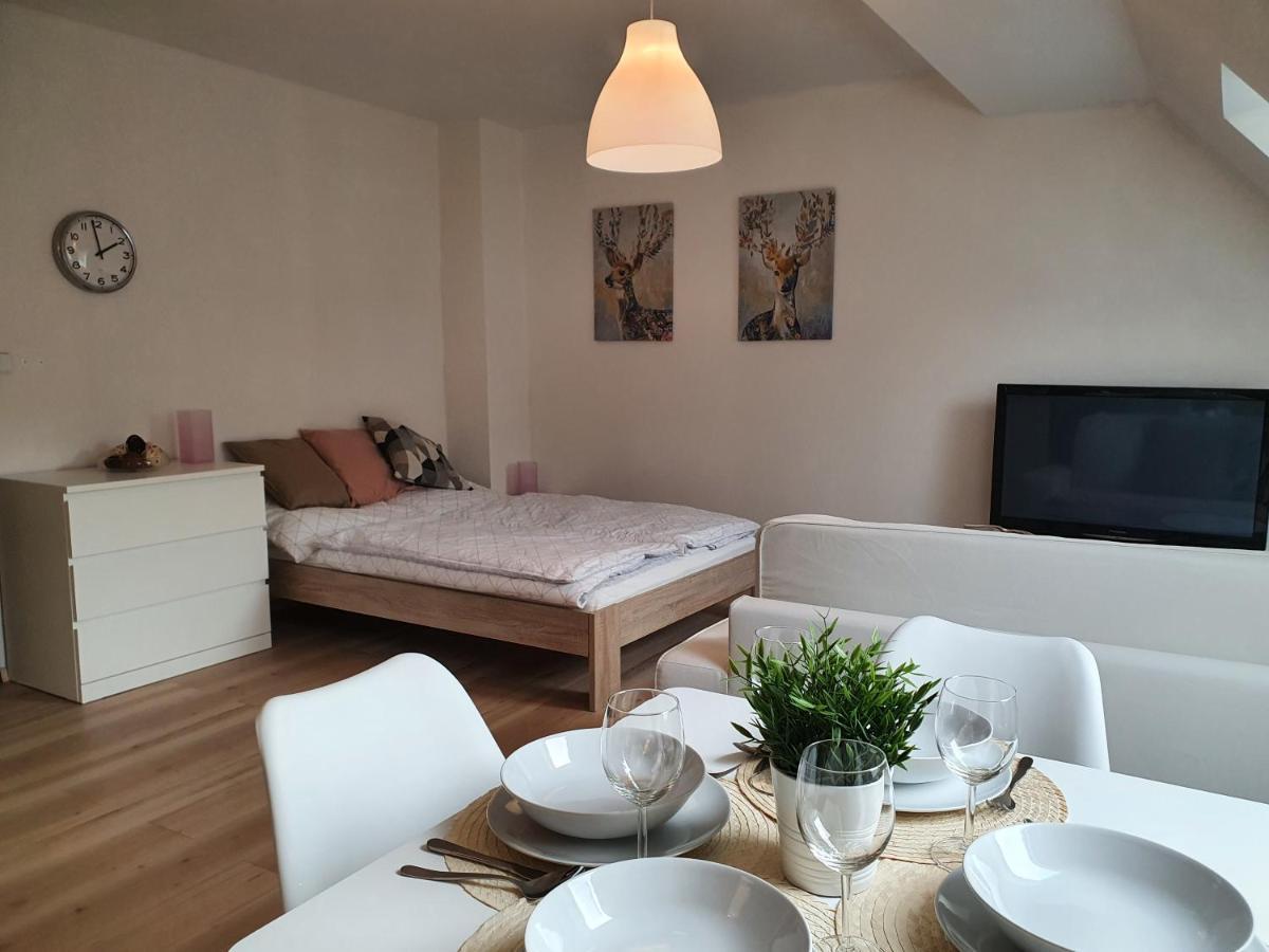 Apartmany Brachovna Mikulov v Krusnych Horach Ngoại thất bức ảnh